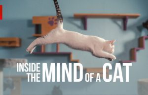 Film Inside the Mind of a Cat (2022), Pecinta Kucing Wajib Nonton