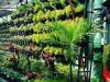 Kampung Glintung Go Green Go Green