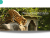 Taman Safari Indonesia: Rekreasi Sambil Edukasi taman safari indonesia