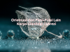 Orientasi dan Puisi-Puisi Lain Karya Gianluigi Fahrezi orientasi Gianluigi Fahrezi