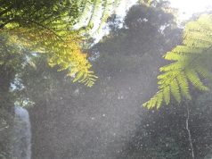 Coban Siuk: Wisata Alam Hidden Gem di Jabung Kabupaten Malang    Coban Siuk