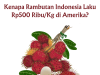 Kenapa Rambutan Indonesia Laku Rp500 Ribu/Kg di Amerika? Kenapa Rambutan Indonesia Laku Rp500 Ribu/Kg di Amerika?