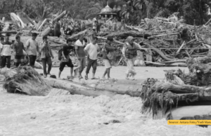 Membaca Ulang Peta Dunia yang Terluka: Merajut Kekerabatan Ekologis di Senja Antroposen