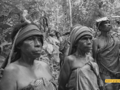 Refleksi tentang Peran Perempuan dalam Pelestarian Alam