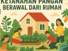 Katahanan Pangan Berawal dari Rumah (Gerakan Kecil yang Berdampak Besar)