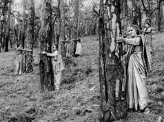 Siapa yang Bicara untuk Bumi? Sebuah Refleksi Ekofeminisme Bersama Robin Wall Kimmerer