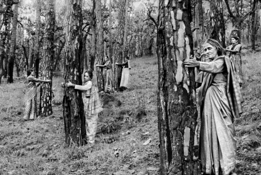 Siapa yang Bicara untuk Bumi? Sebuah Refleksi Ekofeminisme Bersama Robin Wall Kimmerer